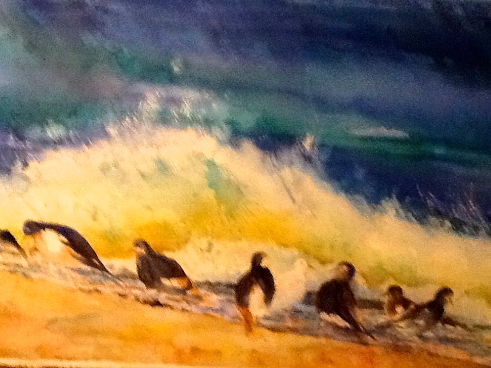 Beach Birds