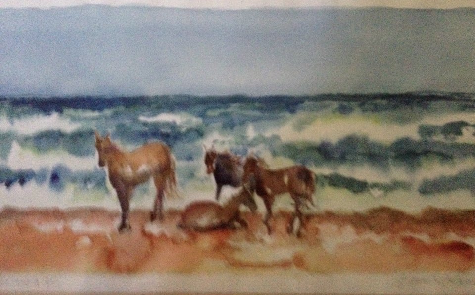 Wild Horses, Corolla, NC