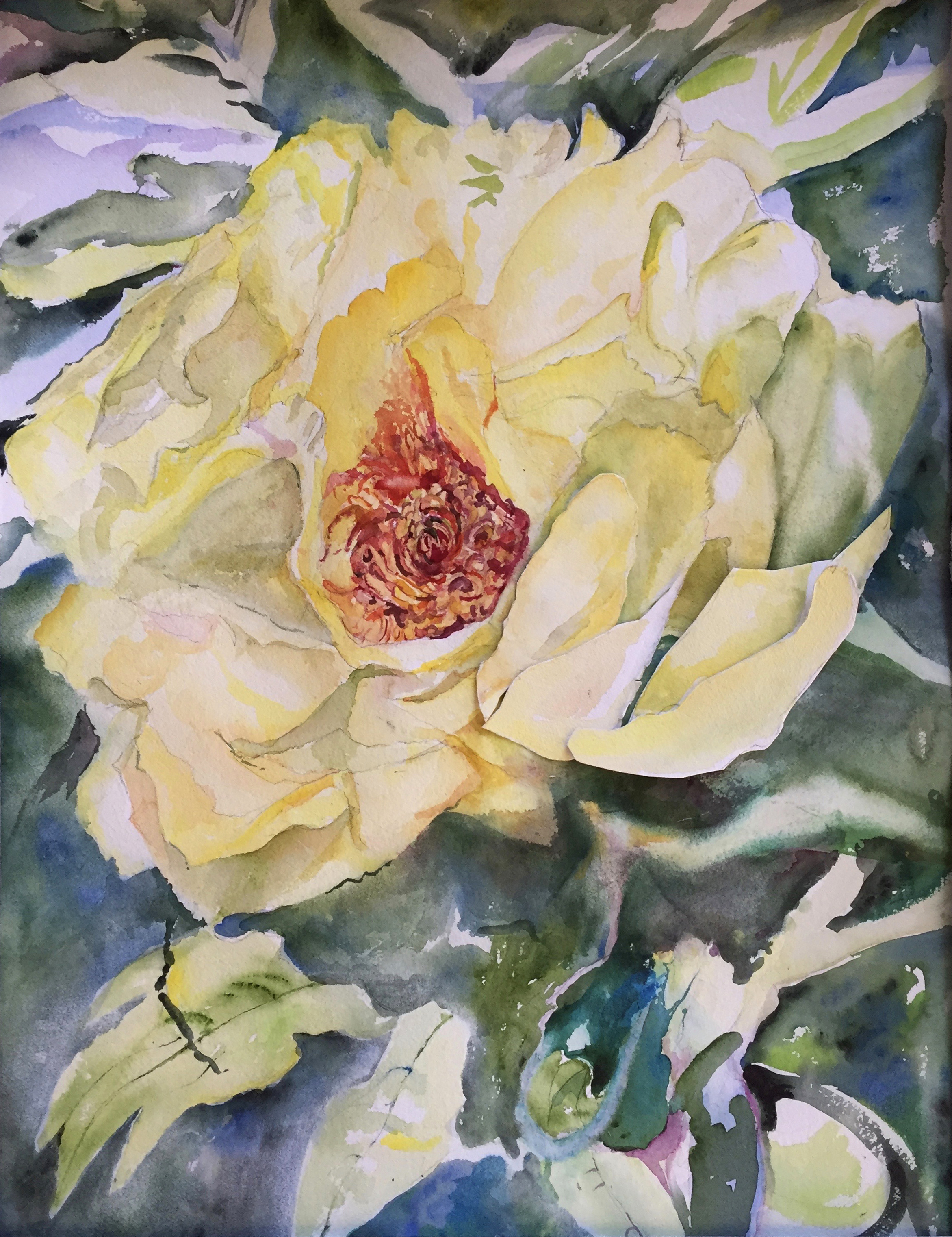 Barbara's Yellow Peony