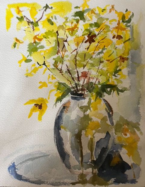 Forsythia