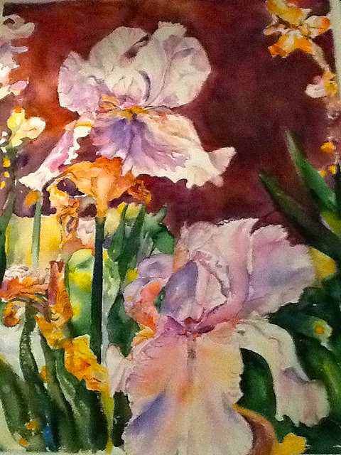 Irises