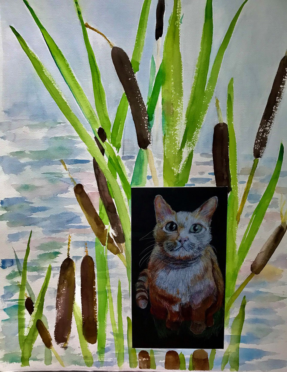 Cat Tails